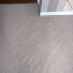 Stain on Carpet After