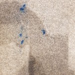 Ink Stain Removal Before
