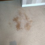 Stain on Carpet