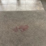 Pink Stain on Carpet