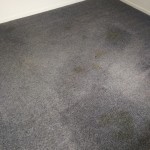 Yellow Carpet Stains