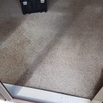 Water Marking Carpet Stain Removal